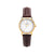 Classic gold and Brown Strap Small Ladies Watch